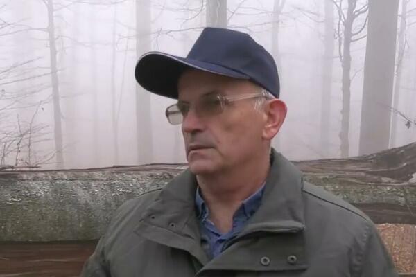 PRAVA PRAŠUMA U SRBIJI U KOJOJ JE ČOVEKU ZABRANJEN ULAZ: Bukve imaju 50 metara, stare su 200 godina, NEMA SEČE!