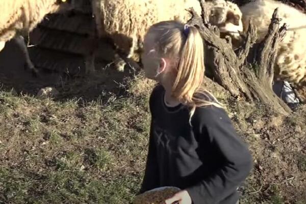 PRIČA "ZLATOKOSE" (12) IZ RZINJA ODUŠEVLJAVA SVE: Ima sve što i druga deca, ali dan počinje RANOM ZOROM (VIDEO)