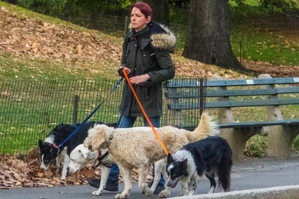 HRVATSKA POOŠTRILA ZAKON: Za napuštanje životinja - ZATVOR