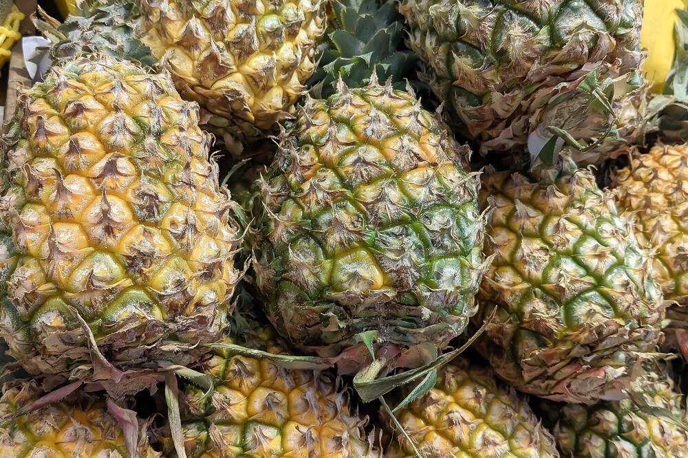 OVAKO POSADITE ANANAS KOD KUĆE I ŠOKIRAĆETE SE KOLIKO ĆE RODITI: Ovakav REZULTAT niste mogli da naslutite