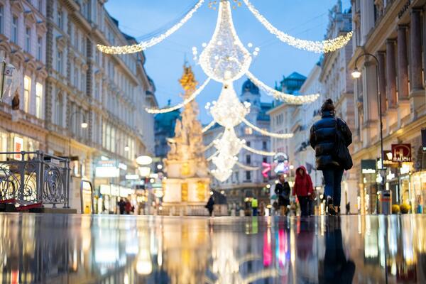 PRESTONICU AUSTRIJE CEO SVET ZOVE VIENA, A MI BEČ: A kad čujete kako ga SLOVENCI zovu, valjaćete se od smeha