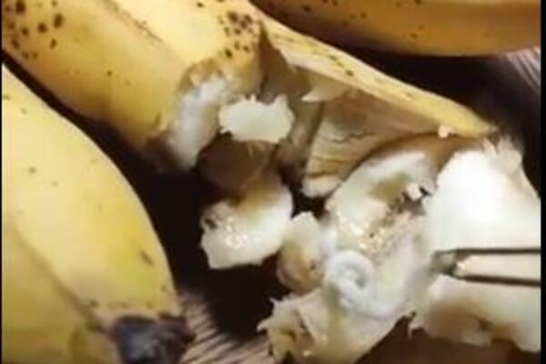 KRENUO DA POJEDE BANANU, NIJE NI SLUTIO ŠTA ĆE DA UGLEDA ISPOD KORE, ŽIVO JE! Ovo tera na povraćanje (VIDEO)