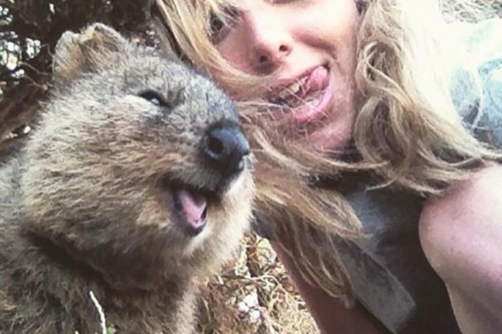 UPOZNAJTE ŽIVOTINJU KOJA SE STALNO SMEJE I VOLI DA POZIRA: 6 stvari koje treba da znate o preslatkim KVOKAMA! FOTO