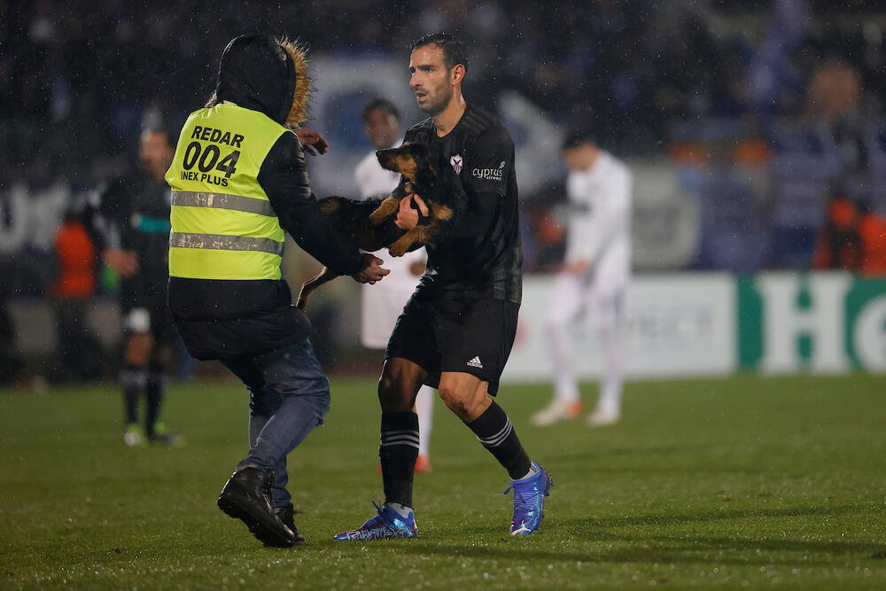 Crni pas, Pas, Pas utrčao na teren