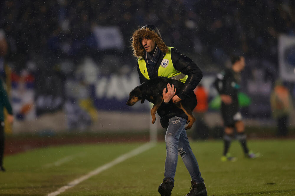 Crni pas, Pas, Pas utrčao na teren