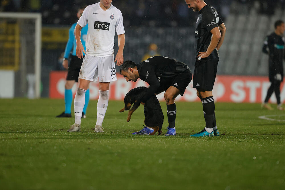 PREKINUTA UTAKMICA U HUMSKOJ, "NAVIJAČ" UTRČAO NA TEREN: Crni pas nasmejao sve prisutne! (FOTO)