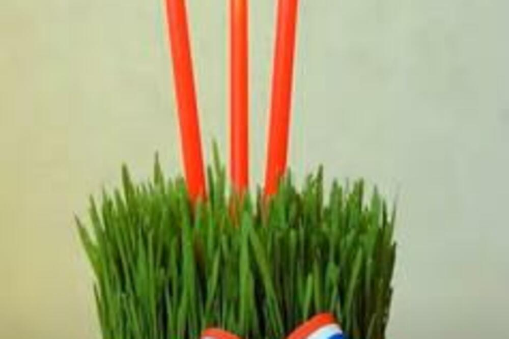 U NEDELJU OBAVEZNO ZASADITE SVOJU BOŽIĆNU PŠENICU: Veruje se da donosi PLODNOST, a evo kako se TAČNO seje i neguje