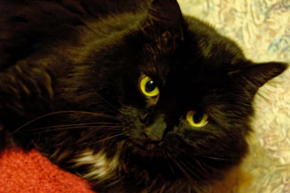 SUTRA JE PETAK TRINAESTI: Veruje se da je NAJBAKSUZNIJI DAN i da se OVO nikako NE TREBA RADITI!