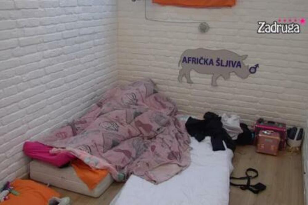 MAJA I CAR RAZVALILI IZOLACIJU! NIKAD JAČA AKCIJA U ZADRUZI, DOVELA GA DO LUDILA, UPOTREBILA I RUKE! (VIDEO 18+)