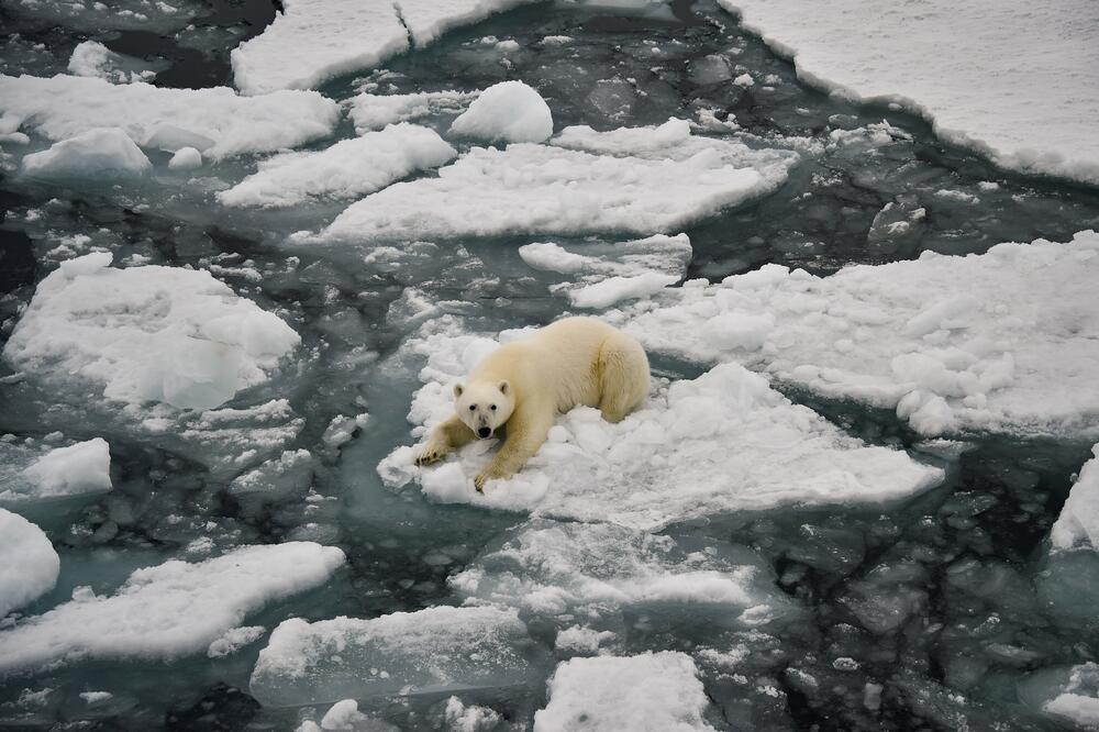 OVO JE ZNAK UBRZAVANJA KLIMATSKIH PROMENA! Na Arktiku zabeleženo nešto što ZABRINJAVA naučnike, nije NAIVNO