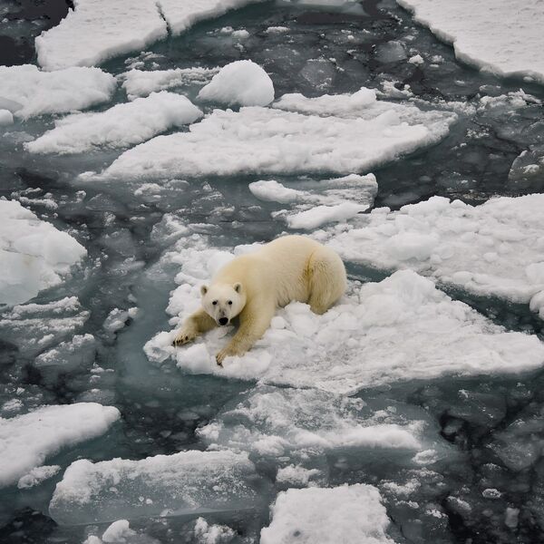 OVO JE ZNAK UBRZAVANJA KLIMATSKIH PROMENA! Na Arktiku zabeleženo nešto što ZABRINJAVA naučnike, nije NAIVNO