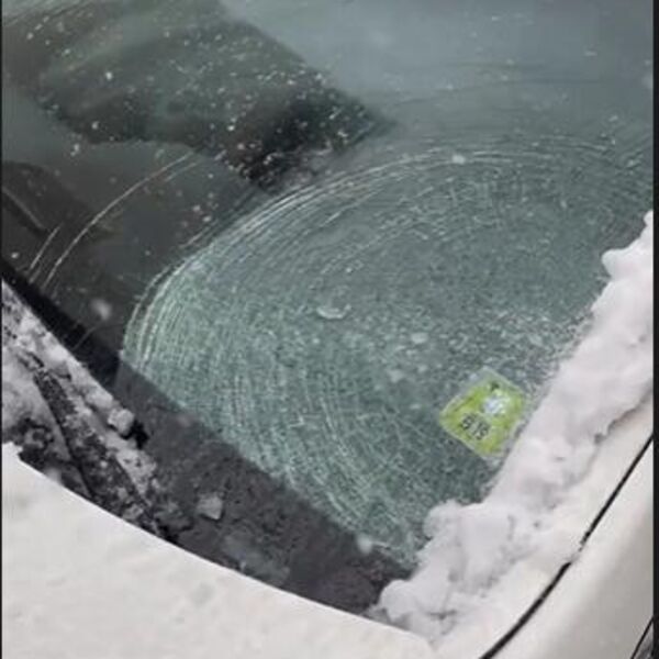 Ova žena godinama nije zatekla zaleđenu šoferšajbnu! Evo šta uradi pa joj trik i KOMŠIJE KRADU