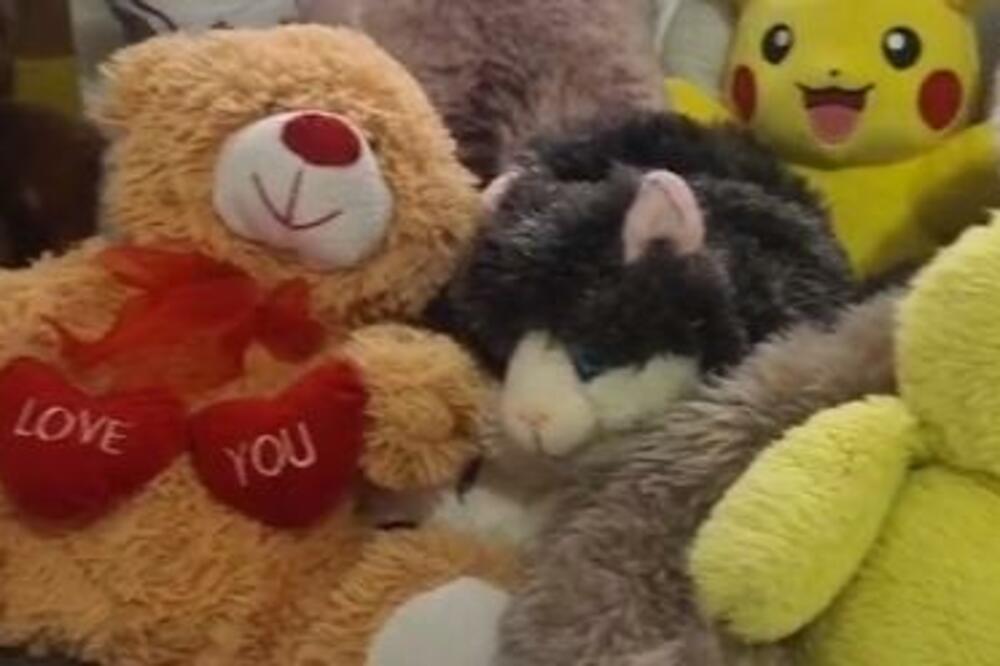 SAKRILA MAČKA MEĐU HRPOM IGRAČAKA: Ljudi u NEVERICI, traže ga na SNIMKU i NE VERUJU (VIDEO)