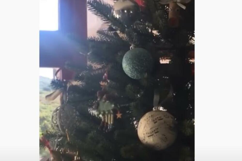 DECA SE IGRALA ISPOD JELKE, A ONDA SE ZAČUO KRIK: Prizor ZASTRAŠUJUĆI, kao u HOROR FILMU! (VIDEO)