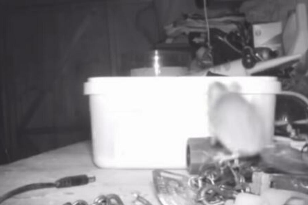 OSTAVLJAO HAOS U ŠUPI, A SVAKO JUTRO GA SVE DOČEKALO NA SVOM MESTU: Odlučio da postavi KAMERU, pa ostao u NEVERICI