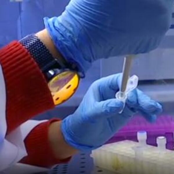 UZORCI KRVI POSLATI NA ANALIZU U HOLANDIJU: Muškarac u Prištini ima MAJMUNSKE BOGINJE?