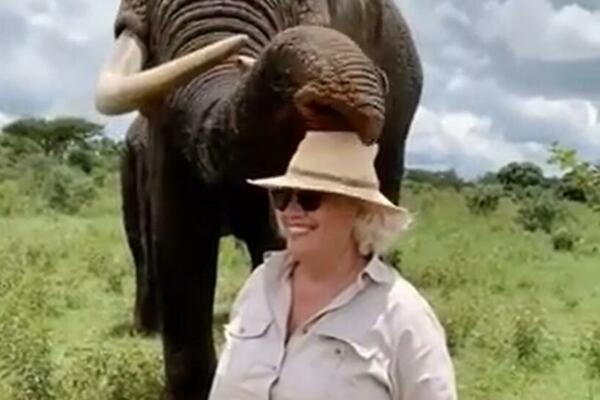 SLON JE URADIO NEVEROVATNU STVAR, ŽENA SE FRAPIRALA! Ovo se samo jednom DOŽIVI, ŠOK (VIDEO)