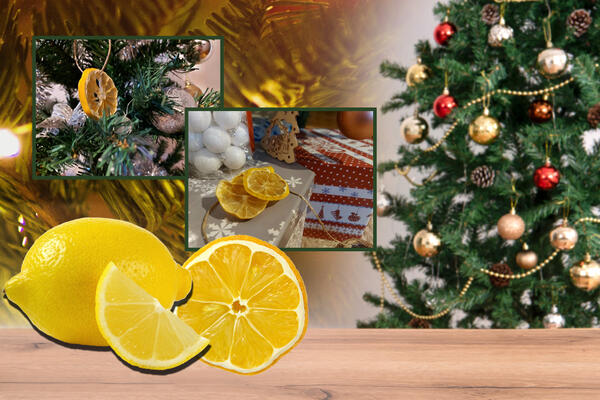 ESPRESO VODIČ! POMOĆU LIMUNA NAPRAVITE UKRAS ZBOG KOG ĆE CELA KUĆA ZAMIRISATI: Gosti će ga odmah primetiti (FOTO)