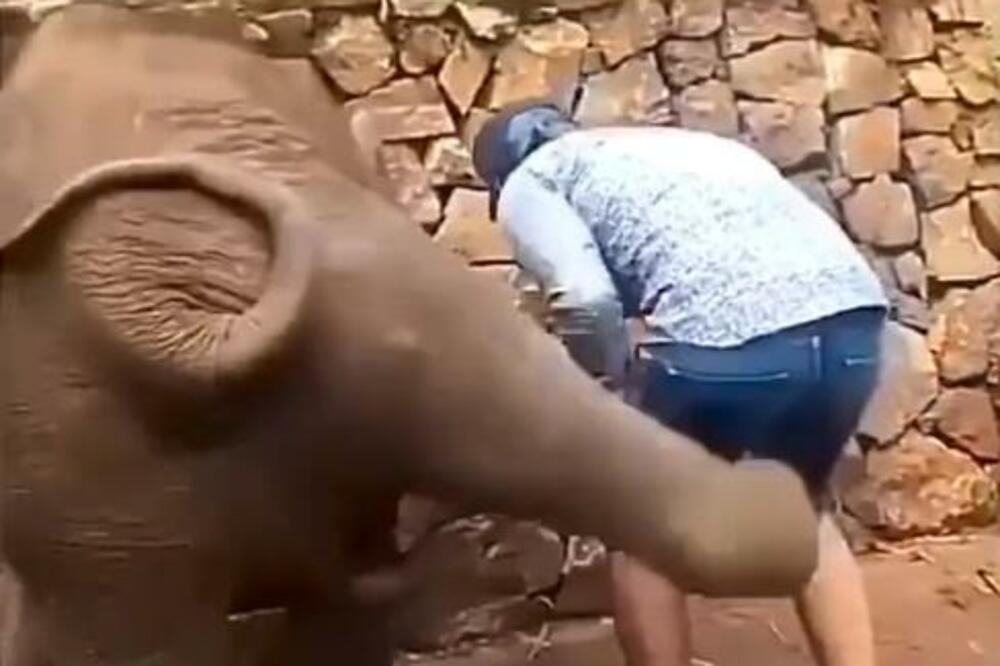 MOMAK JE HTEO DA SE SLIKA, ALI NIJE OČEKIVAO DA ĆE MU SLON URADITI OVAKO NEŠTO! Ceo ZOO VRT mu se SMEJAO (VIDEO)