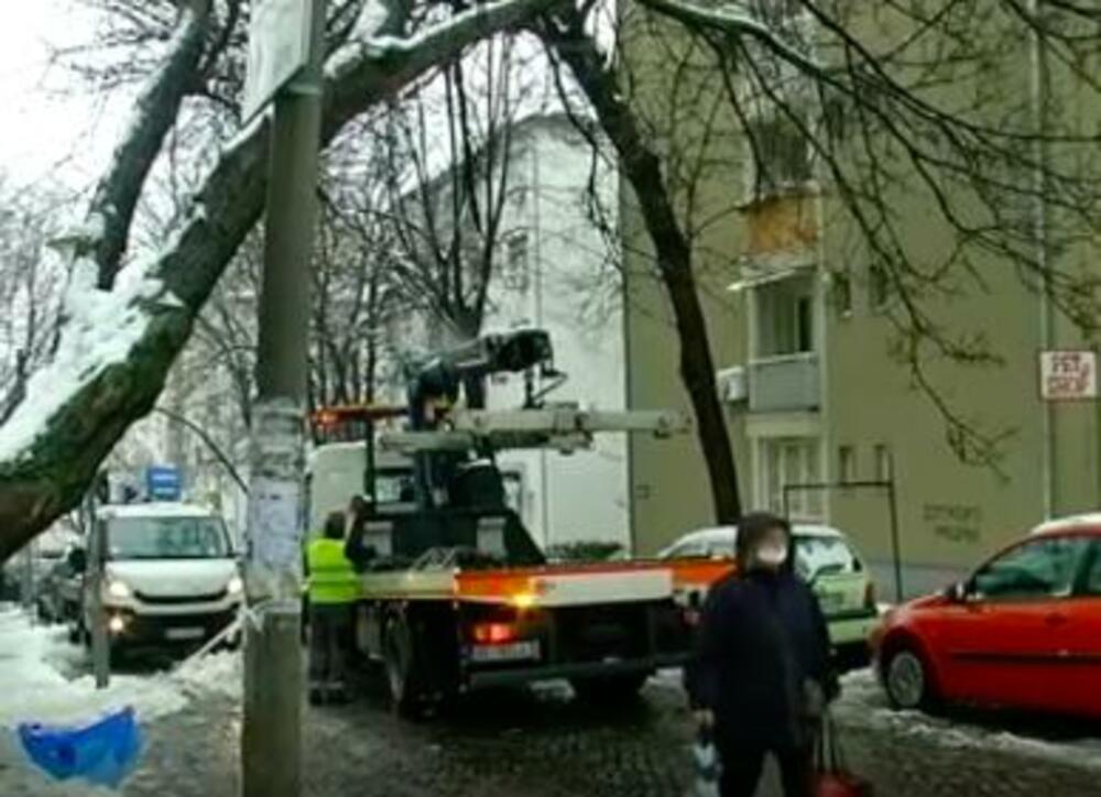 Grane, Gradsko Zelenilo