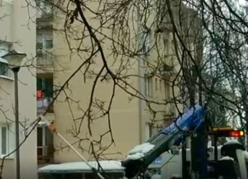 Grane, Gradsko Zelenilo