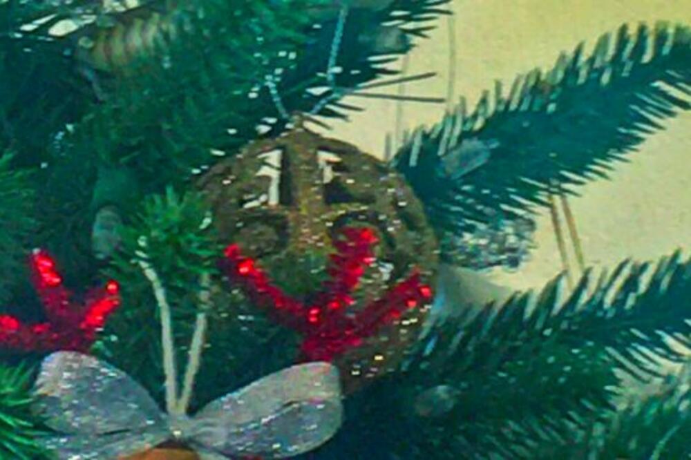 Kupila jelku za 5.000 dinara, ljudi umrli od smeha kad su je videli: Pogledajte i sami zašto, neverica (FOTO)