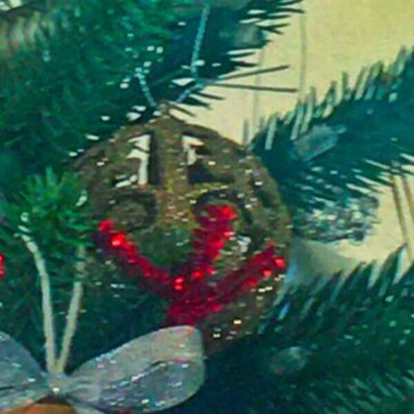 Kupila jelku za 5.000 dinara, ljudi umrli od smeha kad su je videli: Pogledajte i sami zašto, neverica (FOTO)