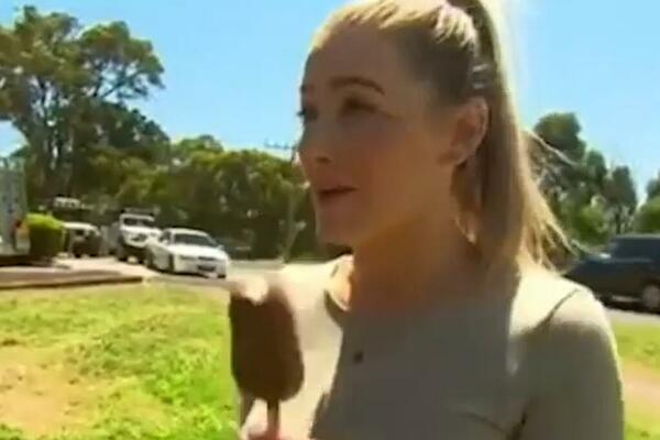 PLAVUŠU JE POLICIJA KAZNILA ZBOG SLADOLEDA: Ono što su tražili od nje je, u najmanju ruku, ŠOKANTNO!