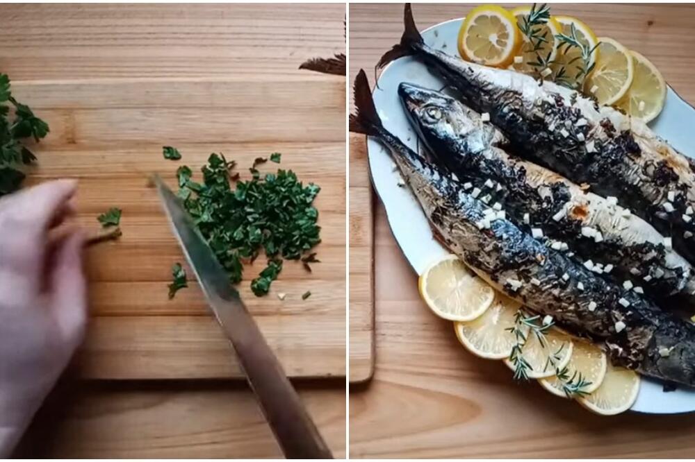 EVO ZAŠTO SVI TREBA DA JEDU SKUŠU! Postoji 1 RAZLOG zbog čega je bolja od OSTALIH RIBA (VIDEO)