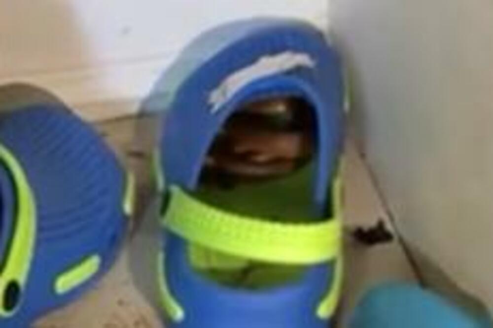 HOROR NAD HORORIMA: Uzeo PAPUČICU, a to što je u njoj UGLEDAO nema ni u FILMOVIMA STRAVE i UŽASA (VIDEO)