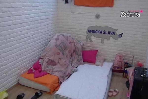 MAJA I CAR ISPROBAVALI NOVE POZE NA NIKOLJDAN: Prepustili se DIVLJANJU ispod pokrivača! (18+VIDEO)