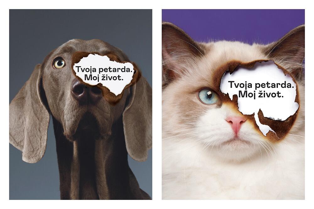 Sačuvaj život životinje – ne bacaj petarde!