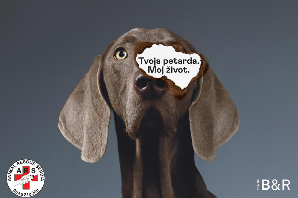 DA LI ZNATE DA ZBOG BACANJA PETARDI MOŽETE U ZATVOR? Evo i na KOLIKO!