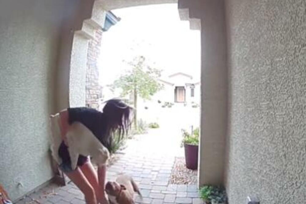 KRVOLOČNI PITBUL NAPAO DEVOJKU DOK SE IGRALA SA PSOM: Zatim se pojavila ONA i 1 POTEZOM smirila SITUACIJU (VIDEO)