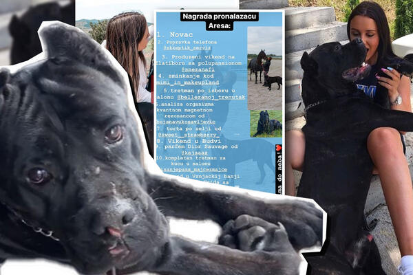 SRBIJA TRAGA ZA ARESOM! Ljubica daje 1.000 € i Borjanova supruga ima PONUDU za pronalazača, ali to nije SVE! (FOTO)