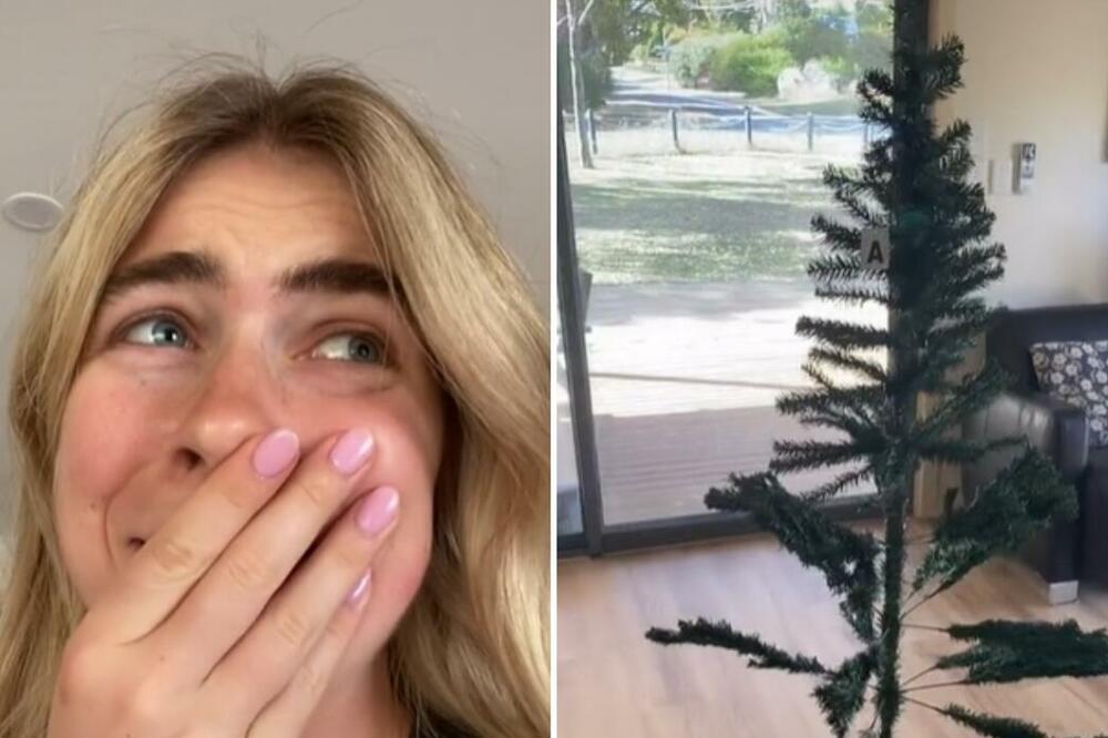 NARUČILA PRELEPU JELKU PREKO INTERNETA! Kada je otvorila paket, ŠOKIRALA SE (VIDEO)