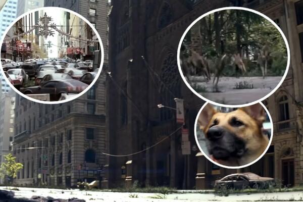 KAKO BI SVET IZGLEDAO KADA BI LJUDI NESTALI? Milioni životinja bi UMRLI, gradovi pod močvarama, a evo šta OSTAJE!