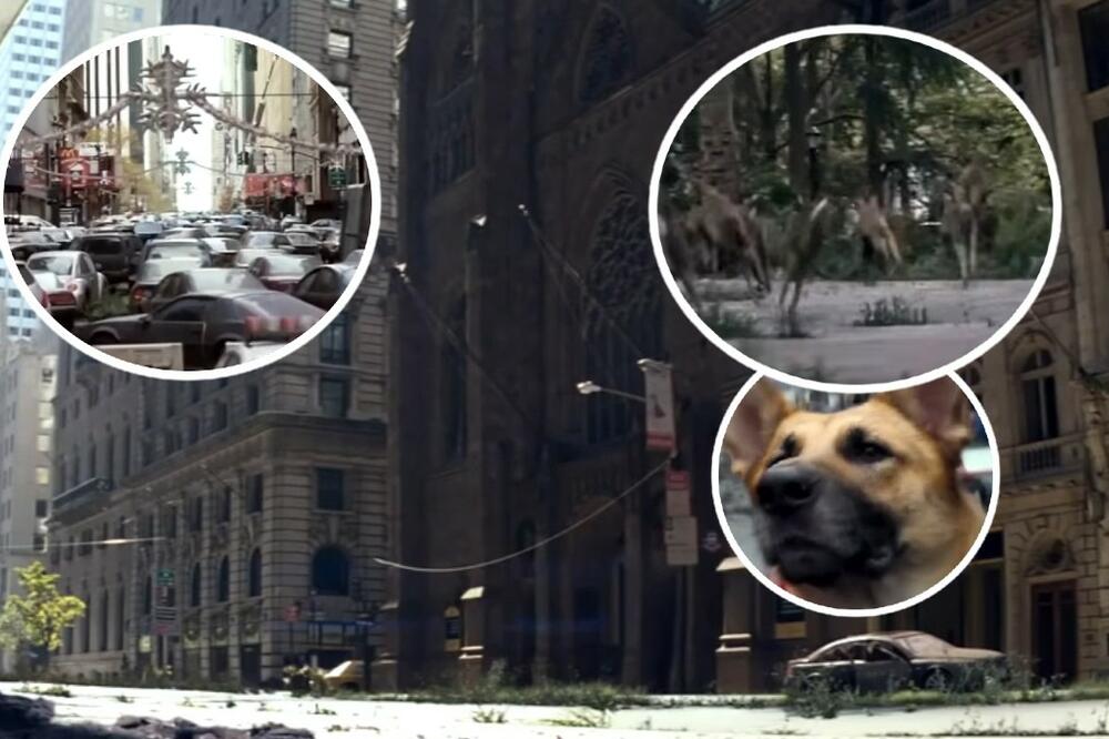 KAKO BI SVET IZGLEDAO KADA BI LJUDI NESTALI? Milioni životinja bi UMRLI, gradovi pod močvarama, a evo šta OSTAJE!