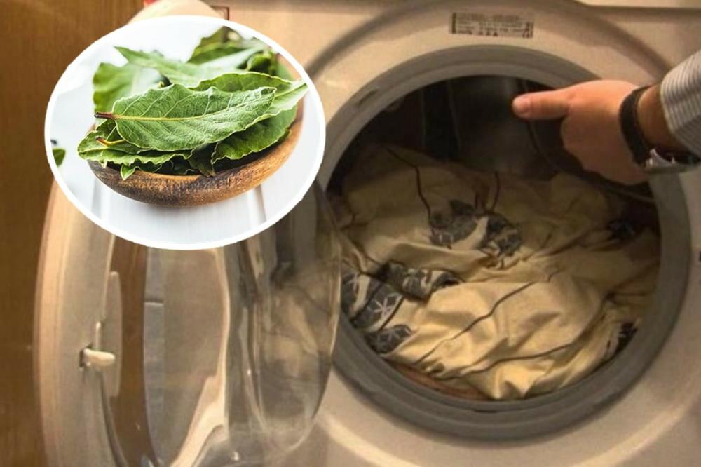 STAVITE LOVOROV LIST U VEŠ MAŠINU! Bićete zaprepašćeni kada vidite šta će se desiti nakon PRANJA