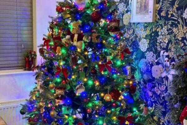 OPTIČKA VARKA KOJA JE MNOGE BACILA U REBUS: Možete li uočiti MACU koja se sakrila? (FOTO)