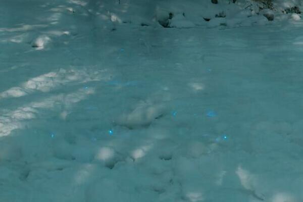 MISTERIJA SVETLEĆEG SNEGA OČARALA NAUČNIKE! U njemu je čitav svet skriven od pogleda (FOTO)