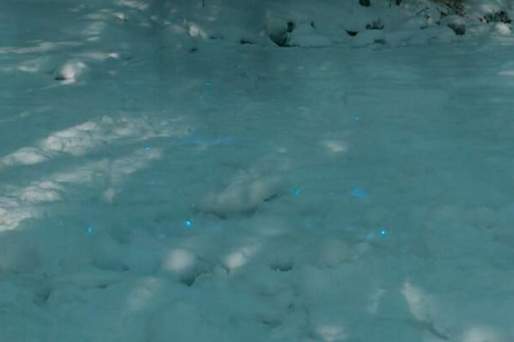 MISTERIJA SVETLEĆEG SNEGA OČARALA NAUČNIKE! U njemu je čitav svet skriven od pogleda (FOTO)