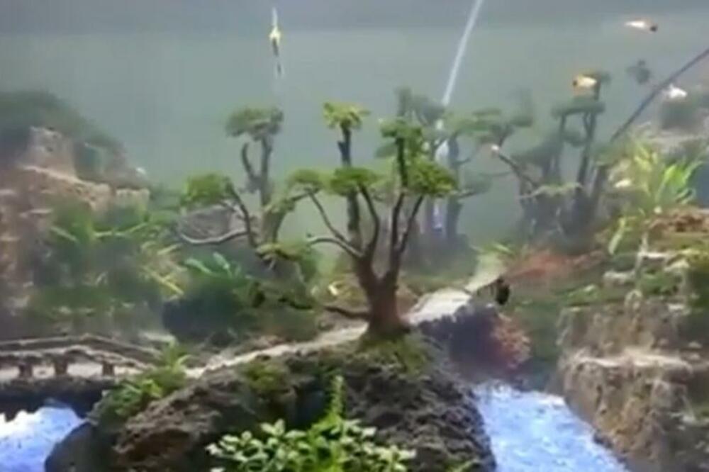 Čovek sređivao akvarijum, pa otrovao celu porodicu ovom greškom: Doktori ostali u šoku kada su videli na šta liče