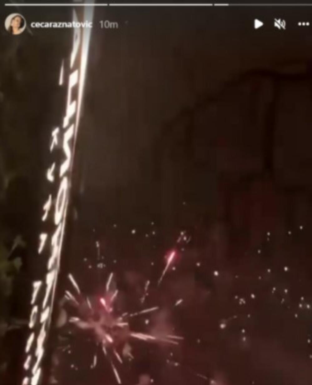 Svetlana Ceca Ražnatović