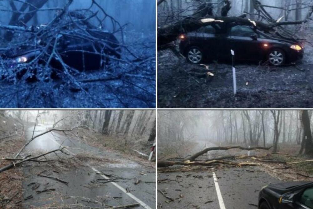 STABLA PADAJU KAO LUDA, NEKO MOŽE DA POGINE! Ovo je NAJOPASNIJA deonica puta u SRBIJI (FOTO)