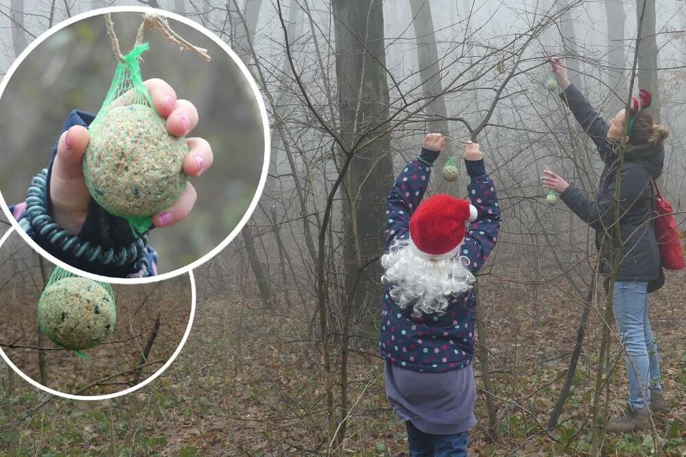 ZA PRAZNIKE POSTAVITE NA DRVEĆE MASNE KUGLE ZA PRIHRANU PTICA: Lako se prave, oni su ZAKAČILI već 300 UKRASA! FOTO