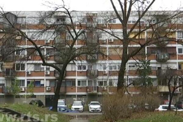 ŠTA TO ŠETA PO STANU NA VRAČARU? Posle crvenih smrdibuba, Beograđani nabasali na JEZIVO biće (VIDEO)