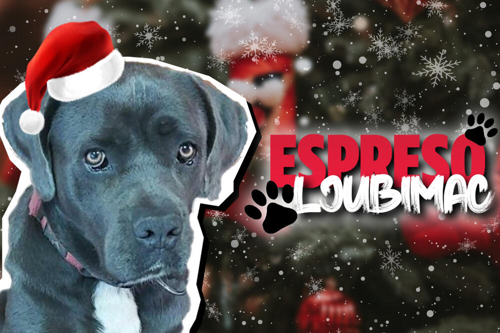 DAVILA BI SE U OVSENOJ KAŠI I PLAZMI: Na raspolaganju su joj 2 magacina, showroom, 3 kancelarije - UPOZNAJTE BEBU