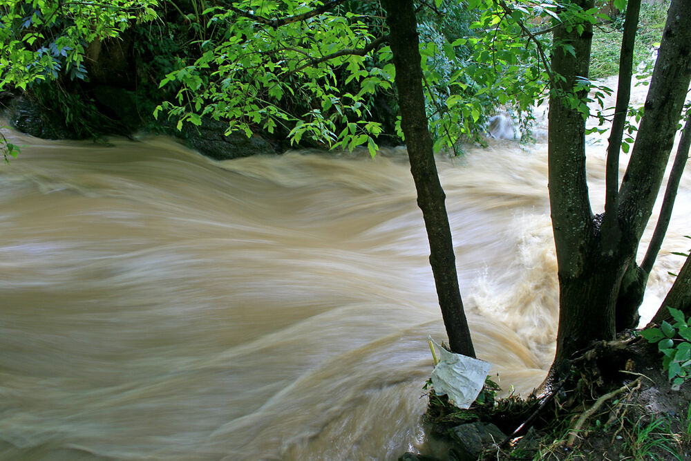 Poplava, Bujica