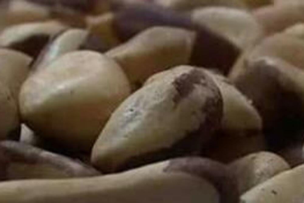 OVA VRSTA ORAHA JE NAJBOLJA ZA VAŠ ORGANIZAM: Nutricionisti VIČU NA SAV GLAS, posebno su važni ZA PROMENU VREMENA